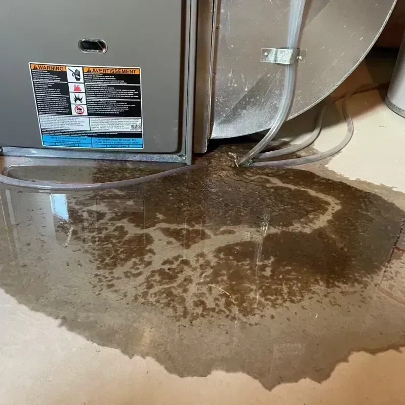 Appliance Leak Cleanup in La Presa, CA